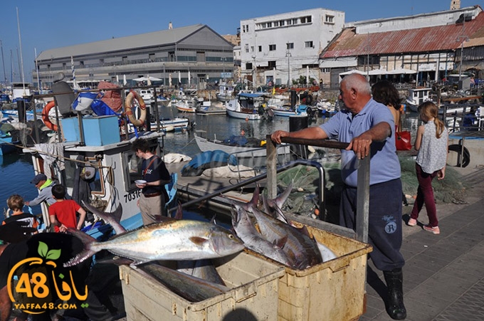 samak antayasa (9).JPG